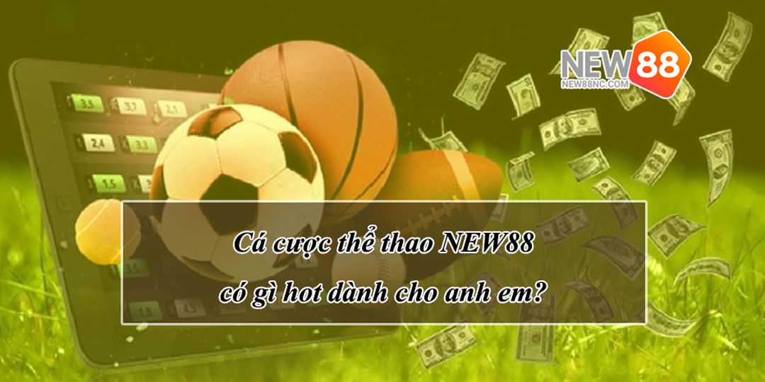 Cá cược thể thao NEW88 có gì hot dành cho anh em?